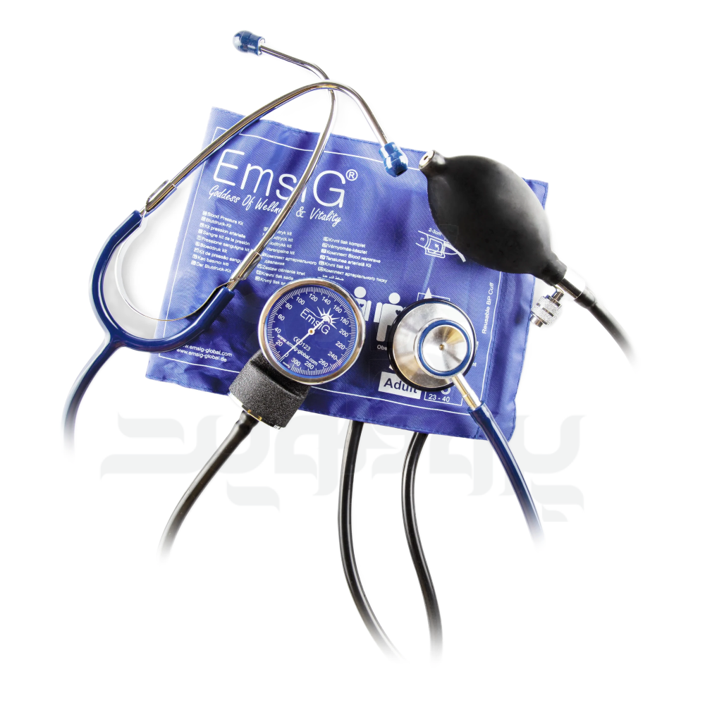 14810-emsig-1 فشارسنج بازویی دیجیتال امسیگ مدل SP91
